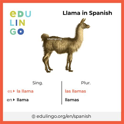 llama pronunciation|llama pronunciation spanish.